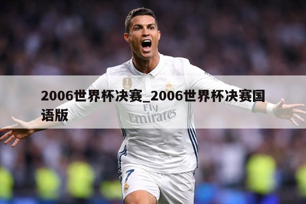 2006世界杯决赛_2006世界杯决赛国语版