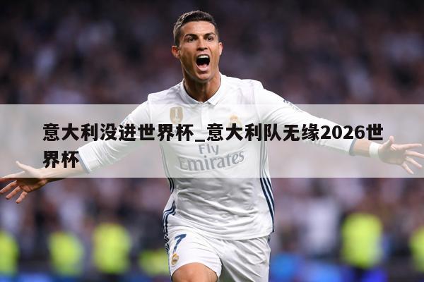 意大利没进世界杯_意大利队无缘2026世界杯