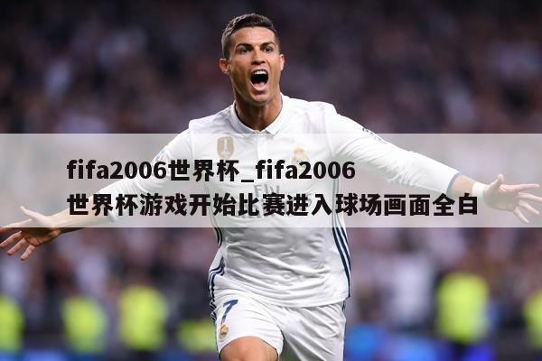 fifa2006世界杯_fifa2006世界杯游戏开始比赛进入球场画面全白