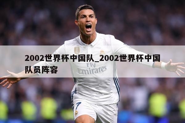 2002世界杯中国队_2002世界杯中国队员阵容